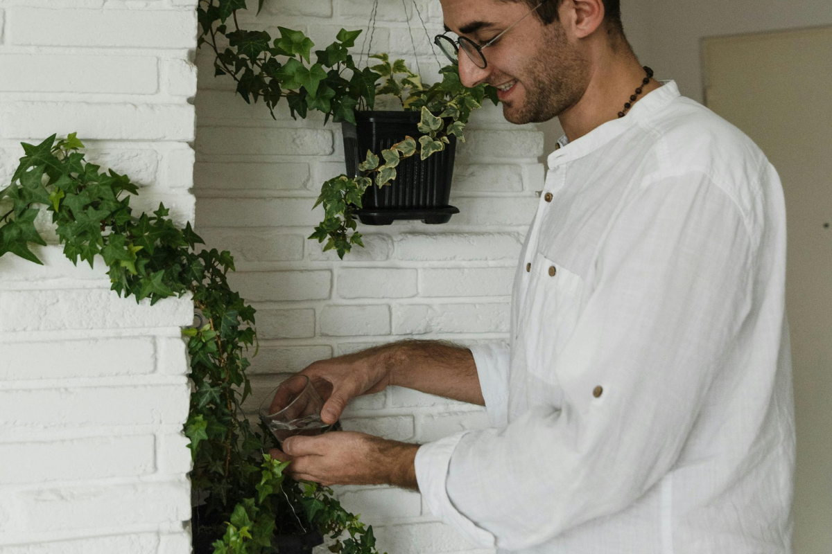 Living wall indoor vertical garden kit with lush pothos and fern panels mounted on a modern apartment or office wall with built-in self-watering system
